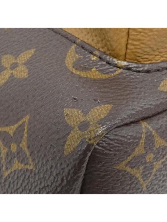 Louis Vuitton Monogram Reverse Palm Spring Backpack PM main image 6